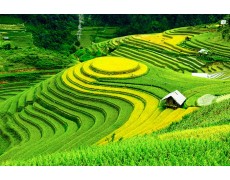 Fungsi Wireless Data Logger Dalam Sektor Pertanian Dan Perkebunan