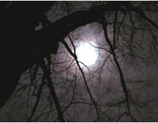 Data Logger Temperature dapat Melacak Aktifitas Makhluk Gaib