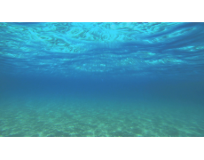 Pertimbangan untuk Memilih dan Menebar Water Level Data Logger