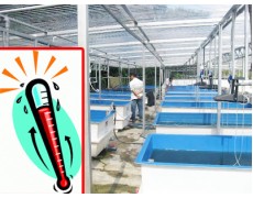 Water Level Data Logger, Alat Jitu Menganalisis Kondisi Suhu Air