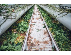 Pentingnya Weather Station pada Rumah Kaca