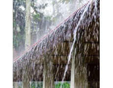 Ini  Manfaat Curah Hujan Yang Tinggi Untuk Manusia