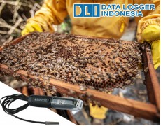 Pentingnya Monitoring Suhu Pada Sarang Lebah