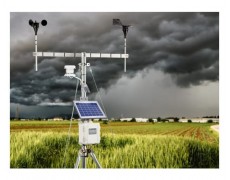 Fungsi Weather Station Di Bidang Perkebunan