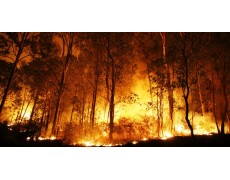 Weather Station mencegah Kebakaran Hutan