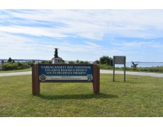 Melestarikan Rawa dengan Water Level Data Logger