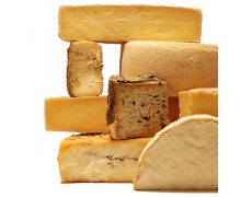 Di dalam Keju Berkualitas terdapat Data Logger Temperature yang Hebat!