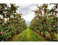 Weather Station Membantu Dalam Memaksimalkan Bidang Pertanian