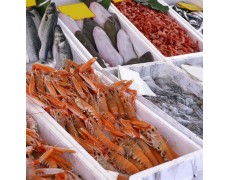 Jaga Kesegaran Seafood dengan Data Logger Temperature