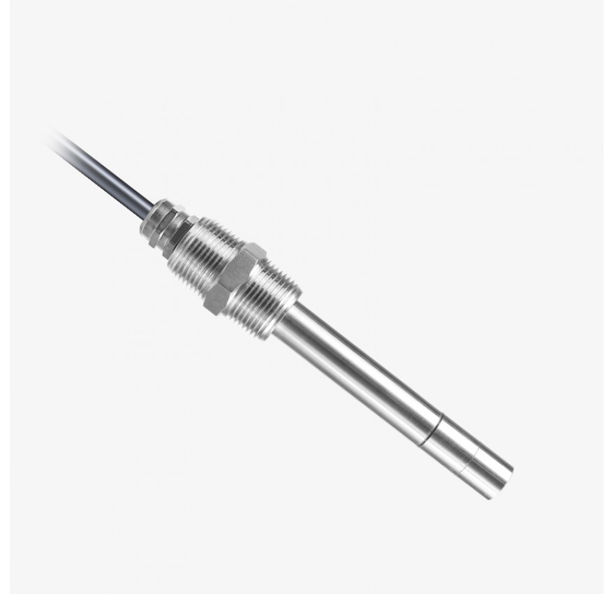 RK500-04 Dissolved Oxygen(DO) Sensor